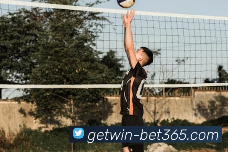 多媒体互动体验